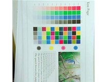 東莞客戶 柯尼卡美能達C210彩色復印機出P9|P21代碼效果問題處理好啦